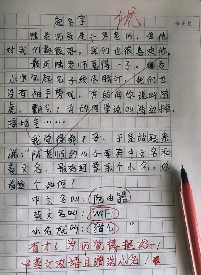 班主任喜得贵子，小学生脑洞大开花式取名，网友：真是“鬼才”