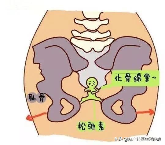 #超级宝妈#孕期肚子下面骨头疼痛难忍，你有过这种感受吗？