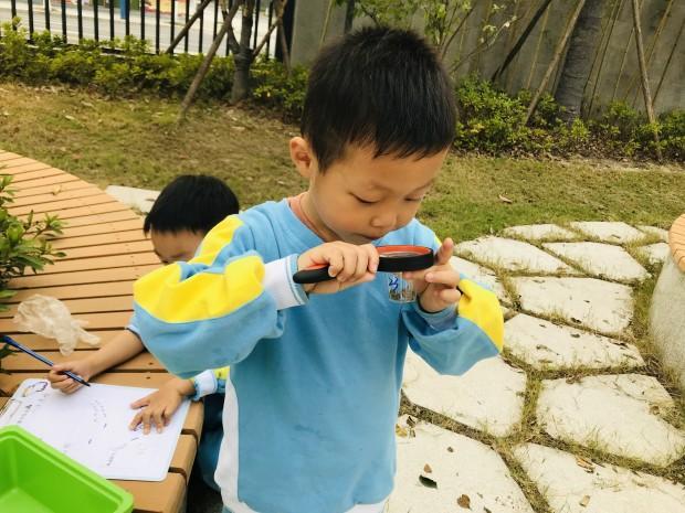 『超级宝妈』杭州一家幼儿园里的“萌宠”难产去世，瞒着小朋友？再找一只？还是说实情？老师纠结了……