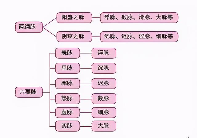 刘力红：为什么中医把脉可以诊病？