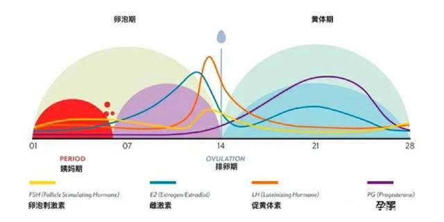 你的育儿经▲怀孕10周看不到胎心，是胎儿发育不好吗？孕早期做好4点远离胎停