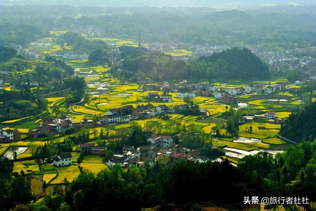 「约吗旅行」百万亩油菜花盛开，处处诗情画意，致最美的汉中油菜花