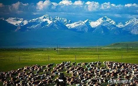 【世界那么大】全中国第二大草原，神奇的和它的名字一样特别，你知道是哪里吗？