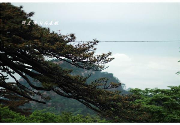 在路上▲天下第一奇山,风景优美奇松怪石,游客慕名而来