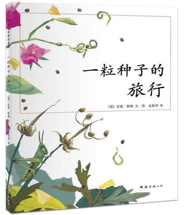 「超级宝妈」康幼家园连线“游戏+”相伴（一百一十一）——【绘本推荐】一粒种子的旅行