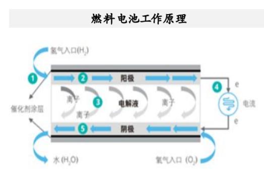 燃料电池风起2021：一个超越锂电的新能源“高维战场”