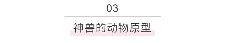 #你的育儿经#孙悟空的原型是他？神兽故事让孩子爱上国学