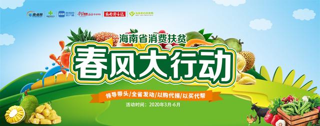 南海网海口市秀英区消费扶贫春风大行动开展“永兴黄皮”地标推广