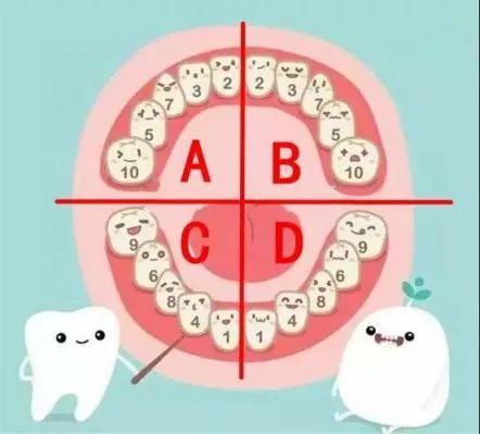 「你的育儿经」10个宝宝7个有蛀牙！这个方法能预防，但很多家长都做错了！