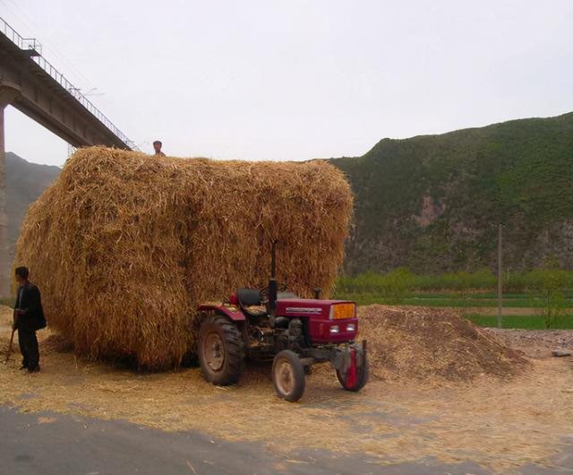 英媒：中国不可怕，可怕的是德国这项科技到了中国后变得“万能”