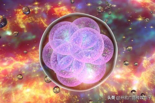 南浔的梦|移植两枚胚胎变成单胎的原因是什么？