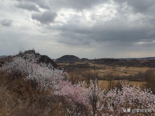 「玩乐足迹」春天里的凤翔