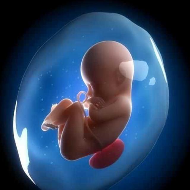 我爱我家|在孕期孕妈感觉肚子一跳一跳的，不是胎动异常，而是娃在忙这事儿