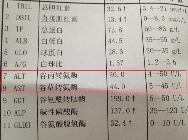 不敢看体检报告，是心虚，体虚，还是读不懂？