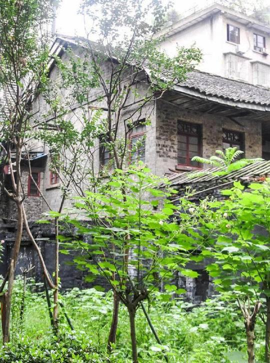封面新闻图说生活|隆兴街的曾经与现在