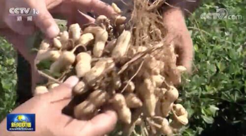 我国|又双叒叕降价了