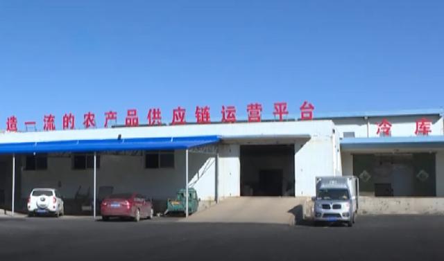 胶东在线■海阳市启动全国电子商务进农村综合示范项目