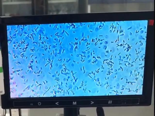 超级宝妈■家里越干净宝宝就越健康？这些育儿误区你需要进来看看～