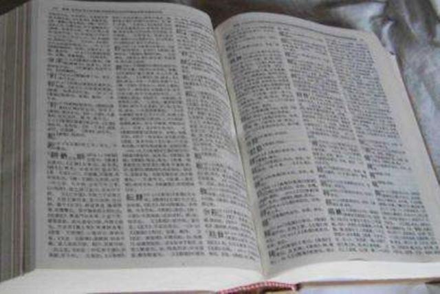 『你的育儿经』爸爸姓李，给娃取名时触犯谐音梗，儿子上学后哭着要改名