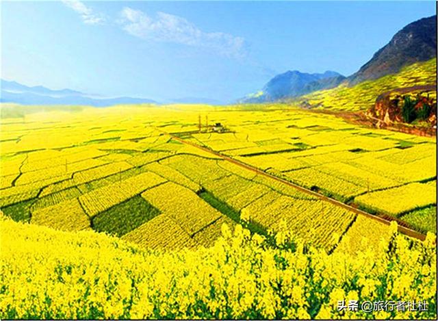 「约吗旅行」百万亩油菜花盛开，处处诗情画意，致最美的汉中油菜花