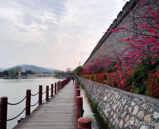 玩乐足迹@“疫”去春来 古城春色新