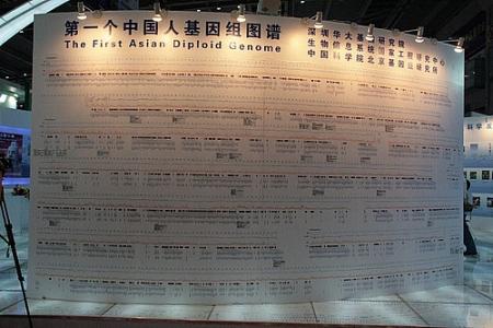 基因|华大基因汪建：很神很狂很妖，要将人类寿命提升到100岁｜深商7