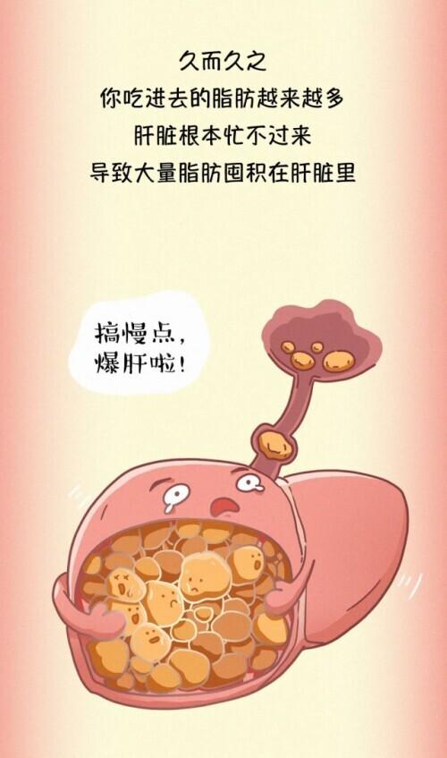 肝脏|肝脏受伤全过程