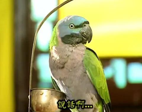 「你的育儿经」误区！自闭症不代表性格内向，活泼孩子可能也是！