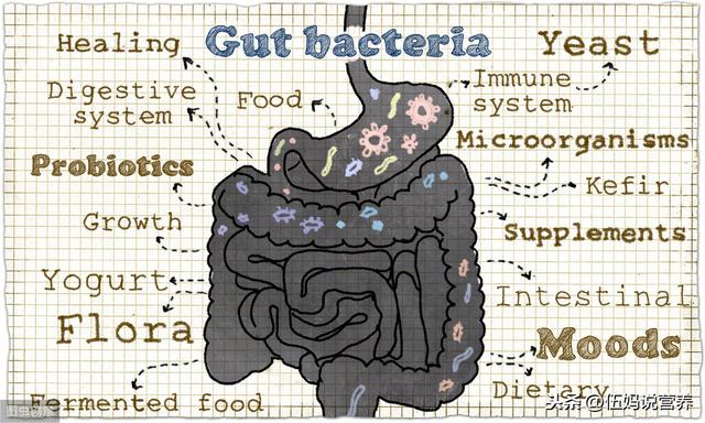 肠道|肠道是人体里的“第二大脑”和“第二心脏”，选择这样吃就对了