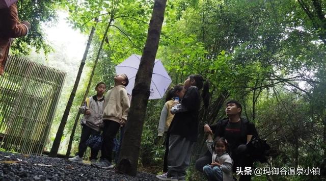 「超级宝妈」玛御谷自然学堂丨雕刻孩子们的成长时光