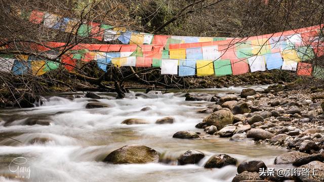 「旅行柚子君」镶嵌在高山森林之中的绿色宝石,这就是草湖