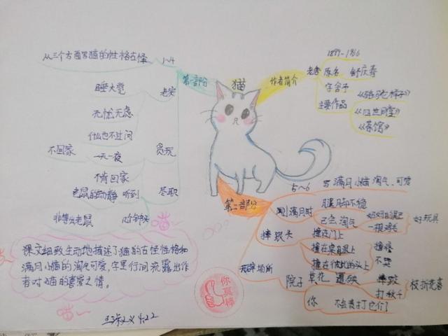 「超级宝妈」别人家孩子的思维导图