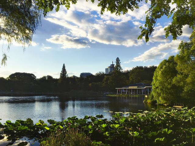 iPhone光影—玉渊潭秋