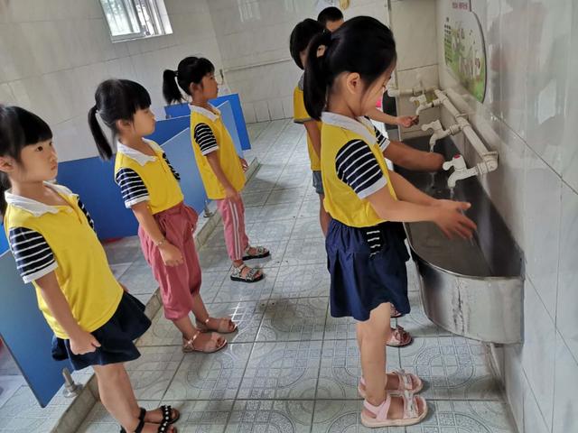 金牌大叔|鼎湖小“神兽”返园啦！镜头记录了这群小可爱