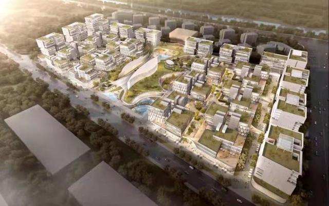 项目|今年崇明排定100个重大生态项目，半数已开工