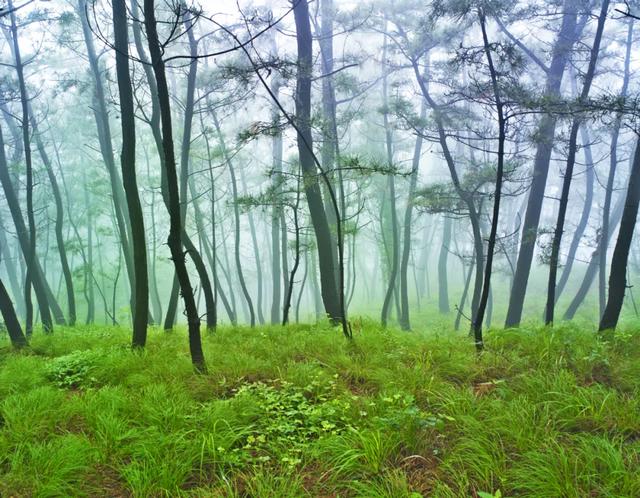 #旅行柚子君#刘公岛如此＂美味儿＂，让你明白什么才是真正的色香味俱佳～