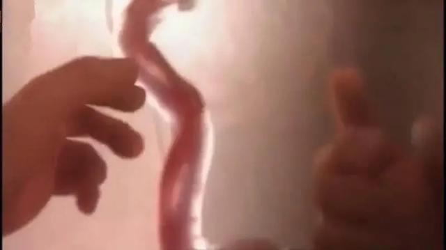 「超级宝妈」肚子里黑漆漆，胎儿在干嘛?宝宝第一视角告诉你：妈妈，我忙着呢