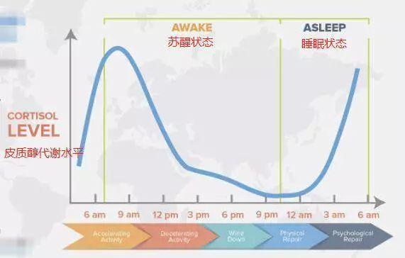 皮质醇|低碳好几个月，早上血糖还是高，要崩溃了...