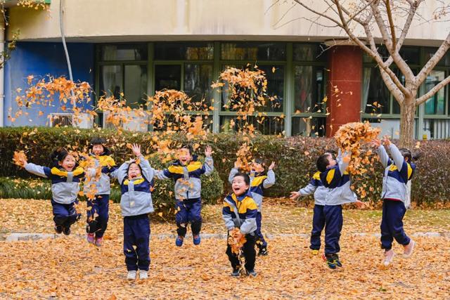 上海市|金山新增4所示范幼儿园，看看在你家附近吗？