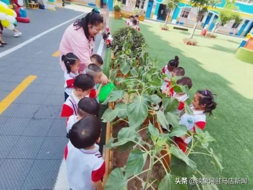 超级宝妈|西平县直第二幼儿园“六一”系列活动纪实