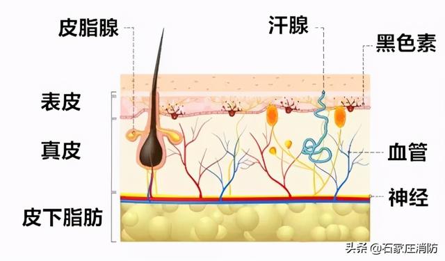 使用“暖宝宝”会被烫伤吗？看完你就知道了