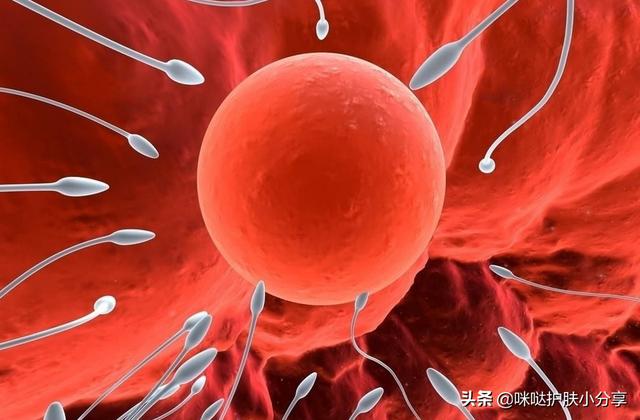 「你的育儿经」“一孕傻三年”是真的?我们了解下