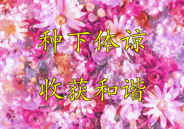 送给我最爱的家人朋友,祝所有朋友家庭美满,阖家幸福!