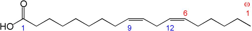 ω-6vsω-3|癌细胞生长速度增加3倍，警惕这些加工植物油