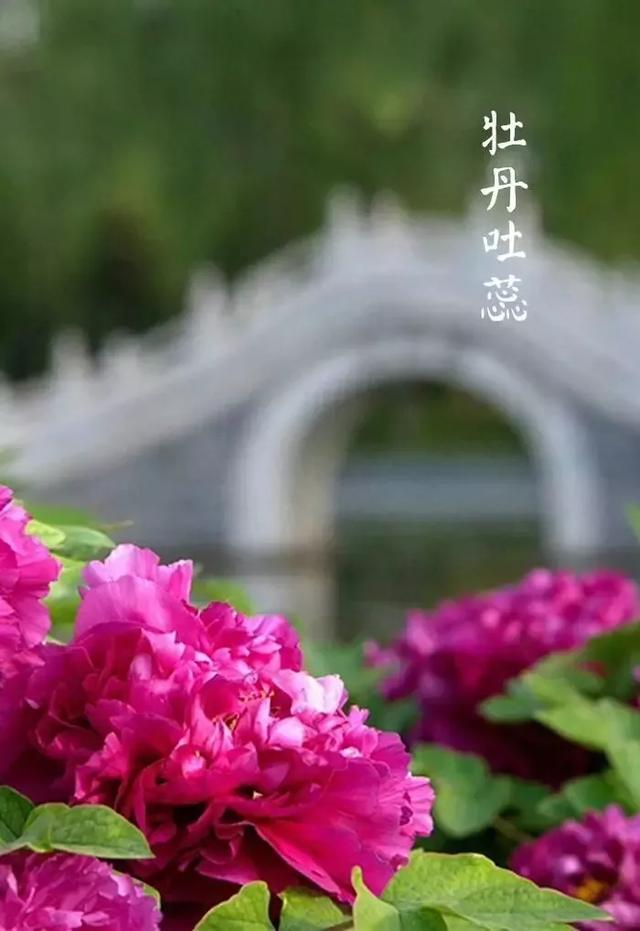 超级宝妈@《给孩子的节气古诗词》中十首谷雨诗词，留住最后一抹春色