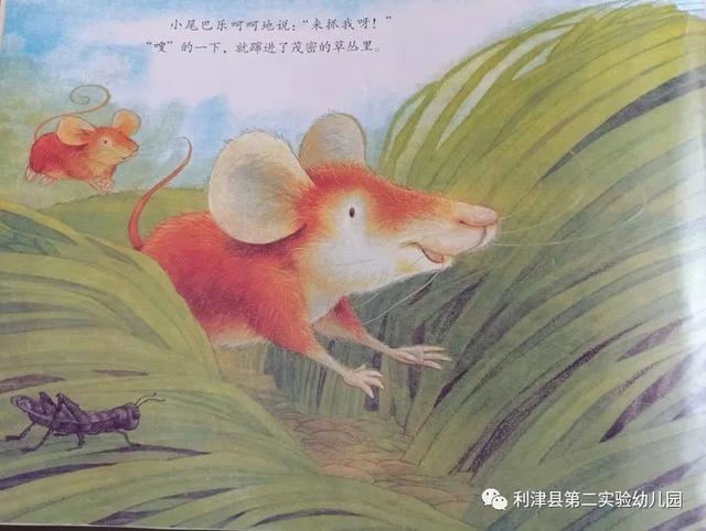 你的育儿经▲小班绘本推荐《一直爱你，永远爱你》