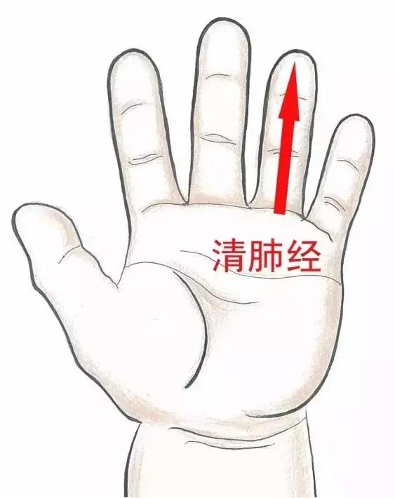 果儿养生|人体有条退烧、止咳通道