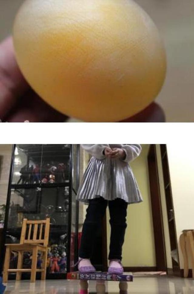 你的育儿经：宅家宝宝的花样科学小游戏，竟然不花钱！杭州这家幼儿园的云课堂有意思