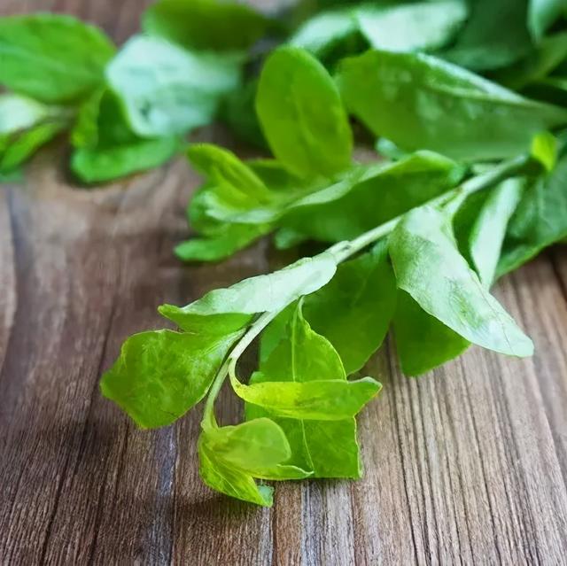 枸杞|春分吃春菜！江南这些带“头”野菜，我带头尝鲜啦