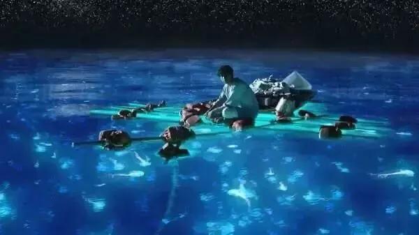 趣旅游▲浙江海岛游,众多“追泪”的车辆已经在路上了